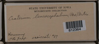 Image Associated With the Occurence